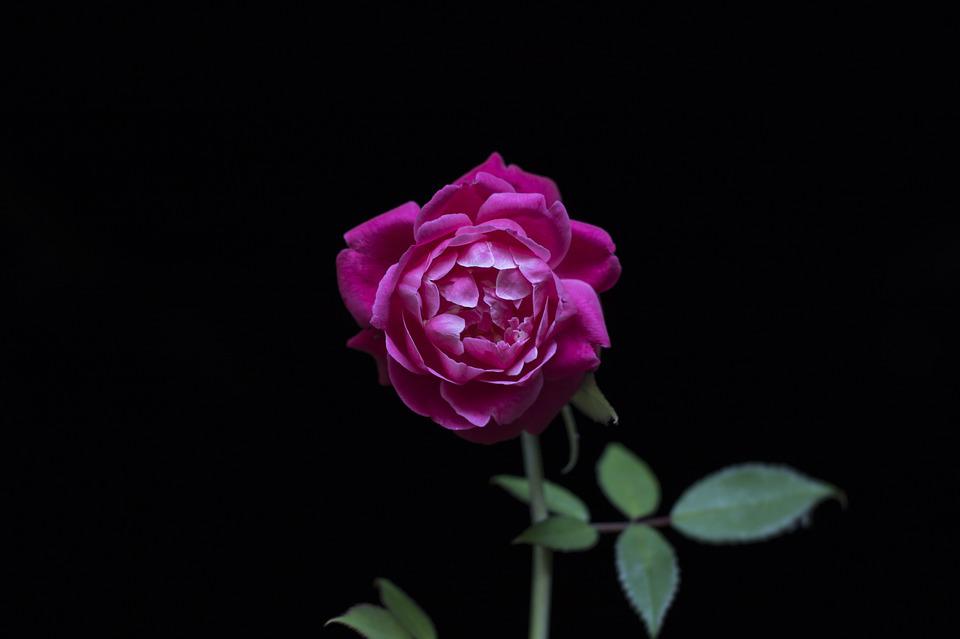 Detail Wallpaper Hitam Gelap Nomer 49
