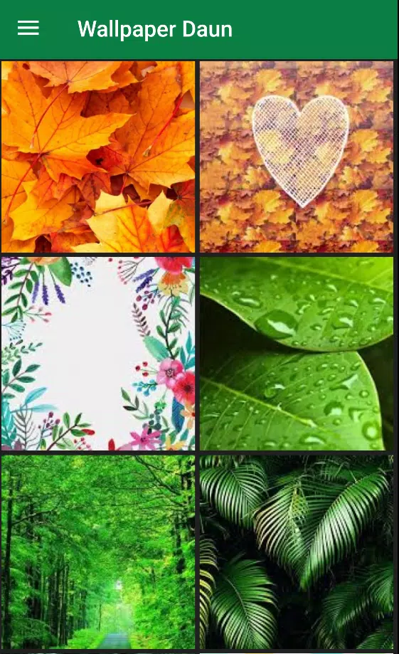 Detail Wallpaper Hp Daun Nomer 45