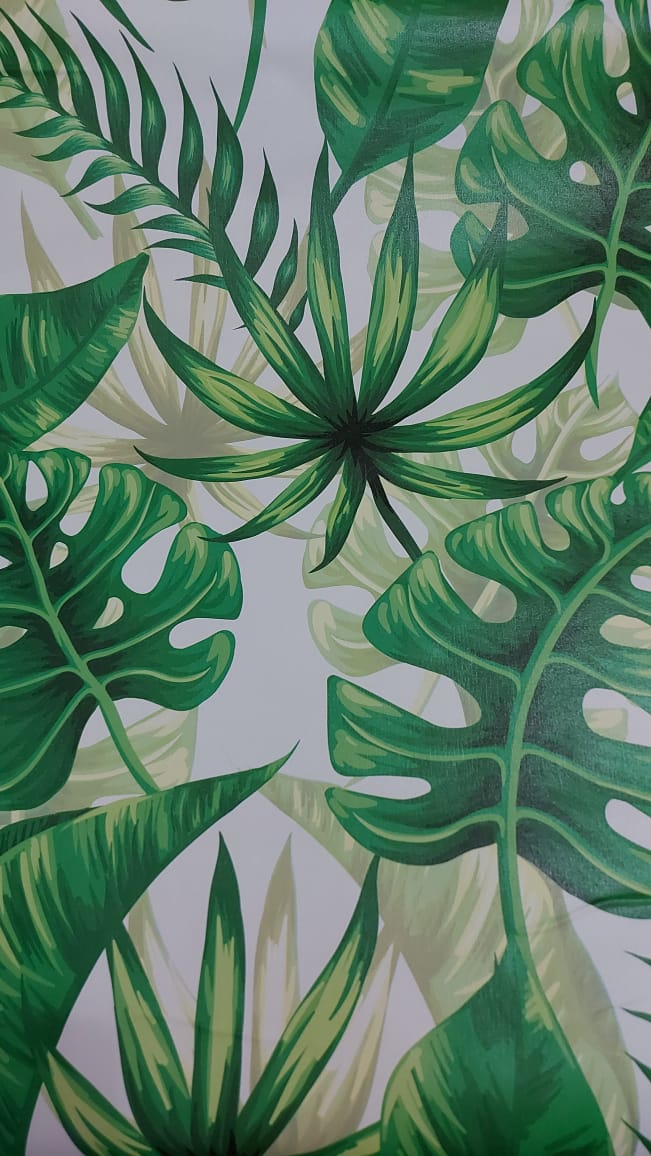 Detail Wallpaper Hp Daun Monstera Nomer 36