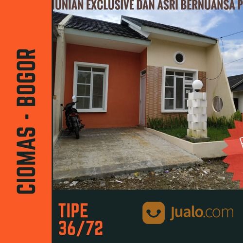 Detail Rumah Sederhana Murah Di Bogor Nomer 39