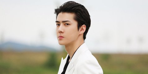 Detail Rumah Sehun Exo Nomer 25