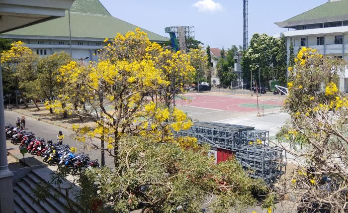 Detail Rumah Singgah Uin Maulana Malik Ibrahim Nomer 21