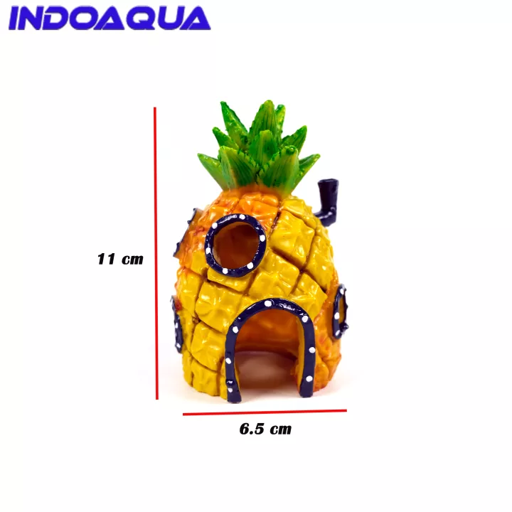 Detail Rumah Spongebob Aquarium Nomer 33