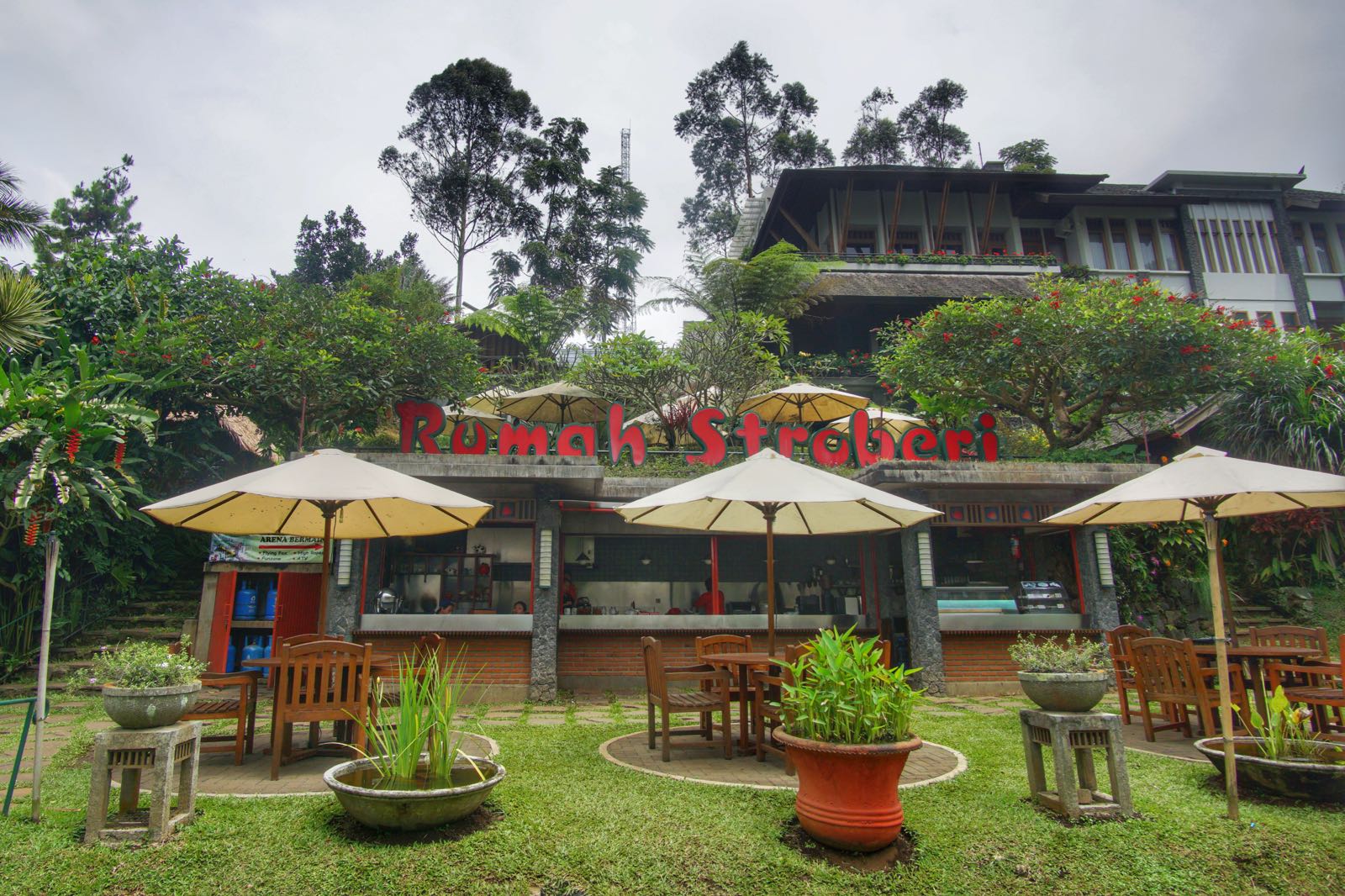 Rumah Stroberi Parongpong - KibrisPDR