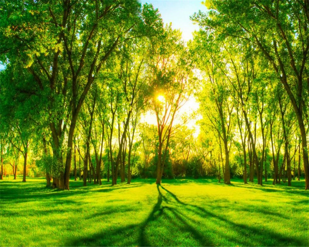 Detail Wallpaper Hutan 3d Nomer 48