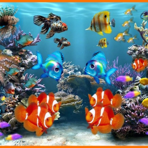 Detail Wallpaper Ikan 3d Nomer 34