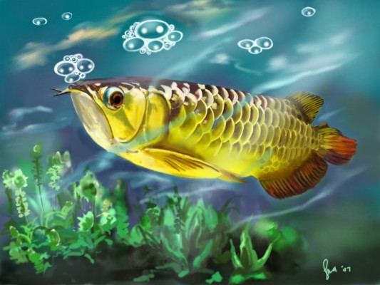 Detail Wallpaper Ikan Arwana Bergerak Nomer 2