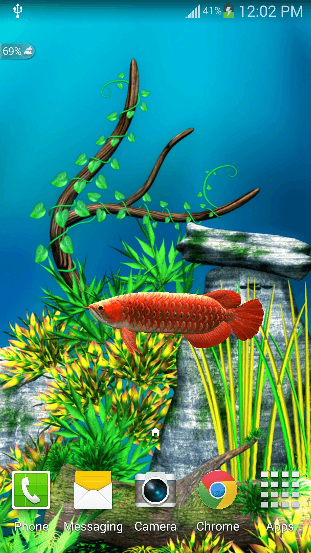 Detail Wallpaper Ikan Arwana Bergerak Nomer 5