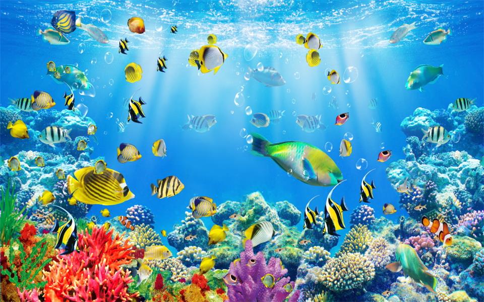 Detail Wallpaper Ikan Di Laut Nomer 5