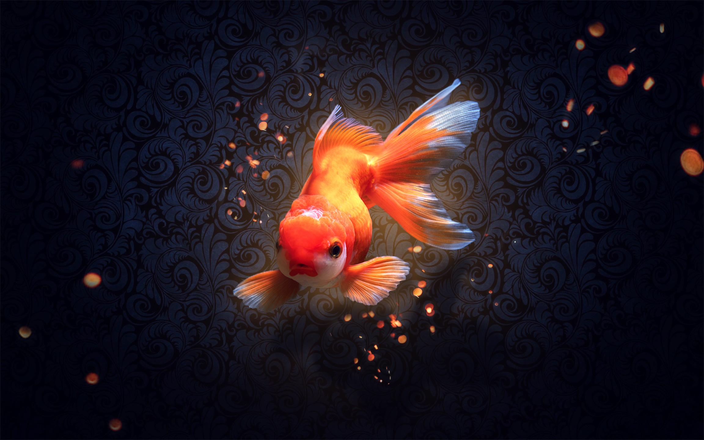 Detail Wallpaper Ikan Hd Nomer 23