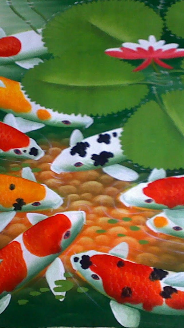 Detail Wallpaper Ikan Koi 3d Nomer 40