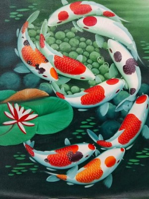 Detail Wallpaper Ikan Koi 3d Nomer 9
