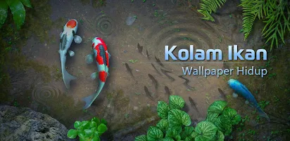 Detail Wallpaper Ikan Koi Hidup Nomer 19