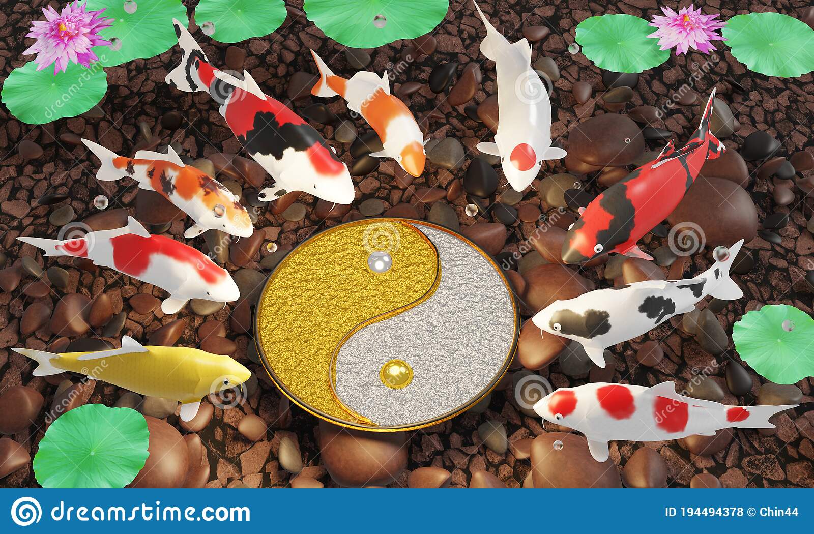 Detail Wallpaper Ikan Koi Yin Yang Nomer 51