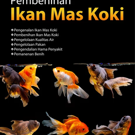 Detail Wallpaper Ikan Koki Nomer 46