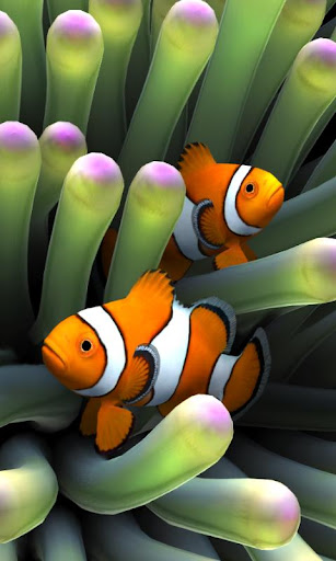 Detail Wallpaper Ikan Nemo Nomer 33