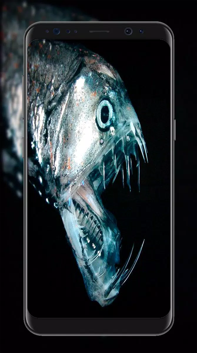 Detail Wallpaper Ikan Predator Nomer 7