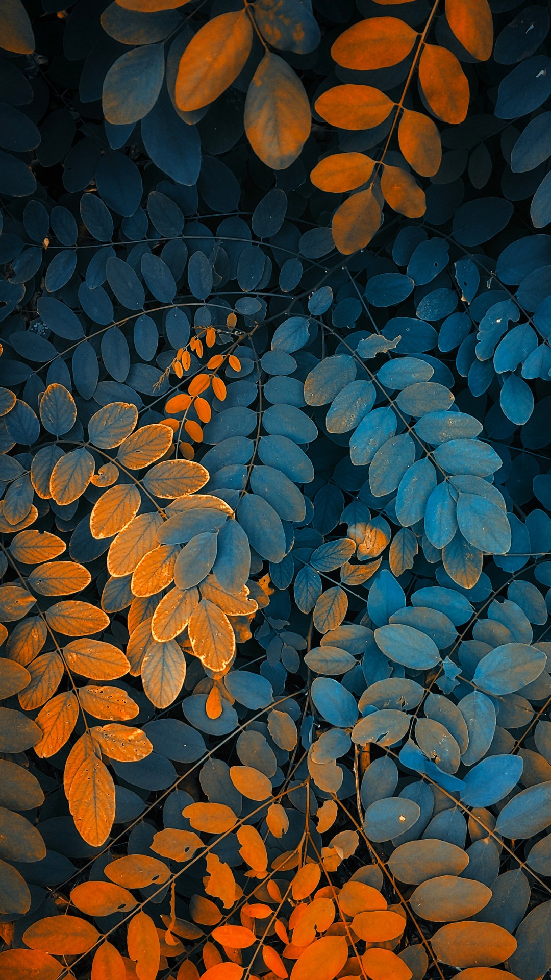 Detail Wallpaper Iphone 4k Nomer 44