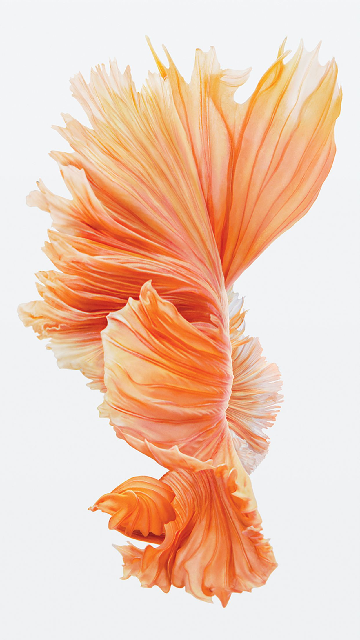 Detail Wallpaper Iphone 6 Nomer 10