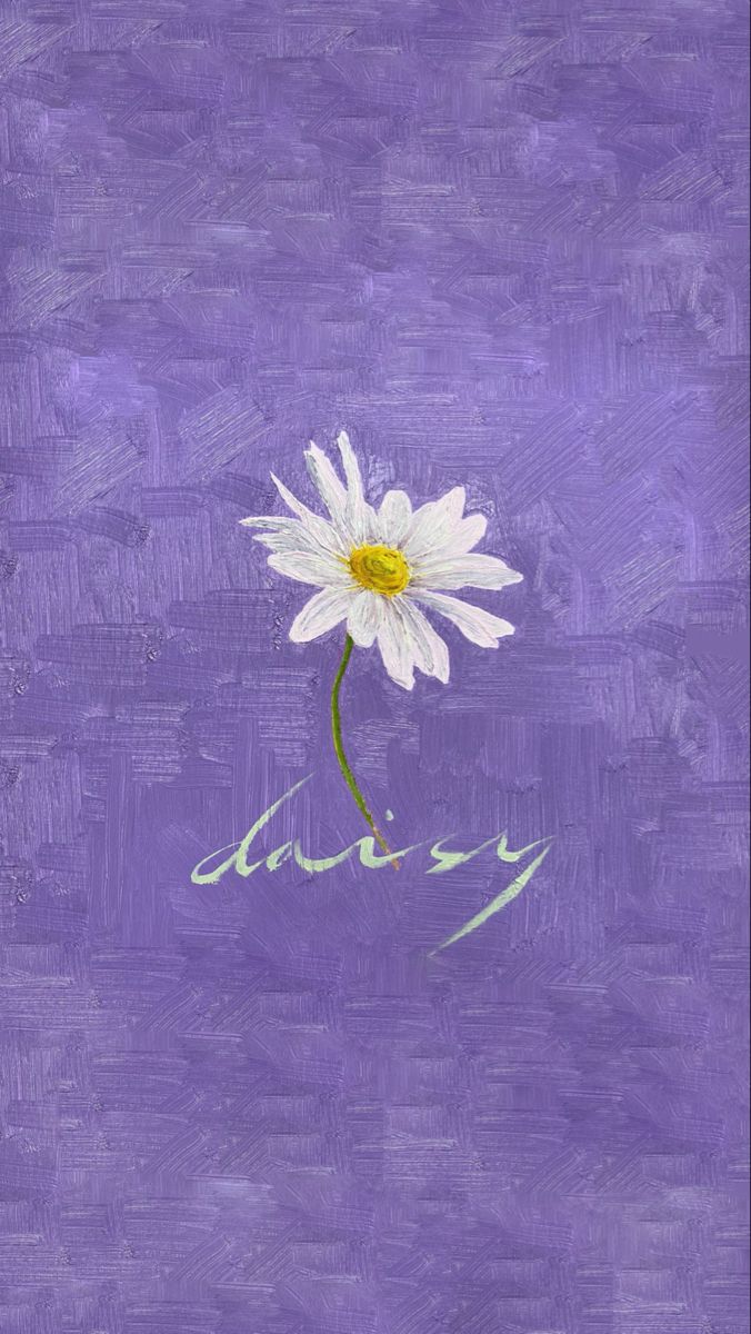 Detail Wallpaper Iphone Bunga Daisy Nomer 16