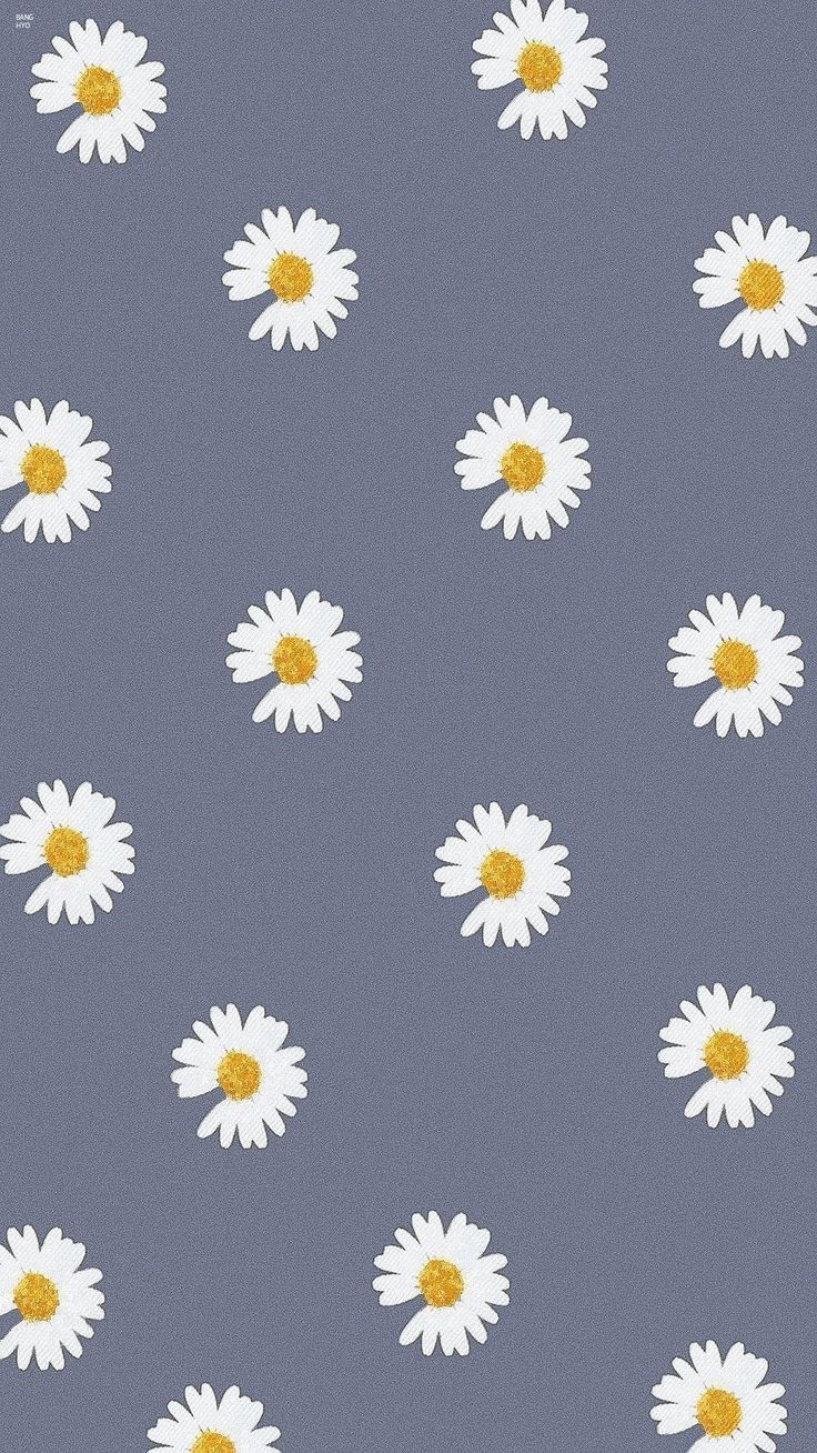 Detail Wallpaper Iphone Bunga Daisy Nomer 4