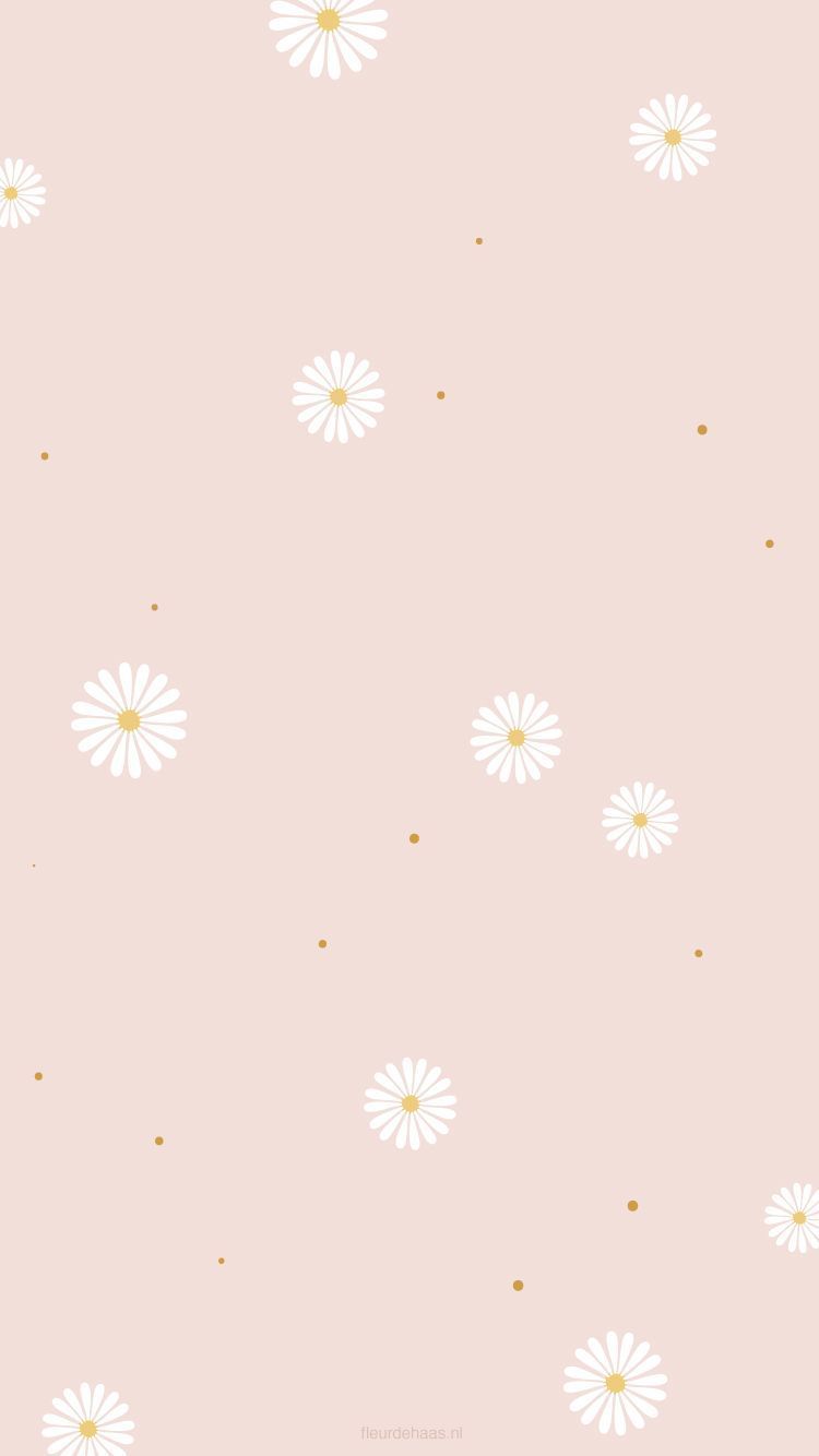 Detail Wallpaper Iphone Bunga Daisy Nomer 32