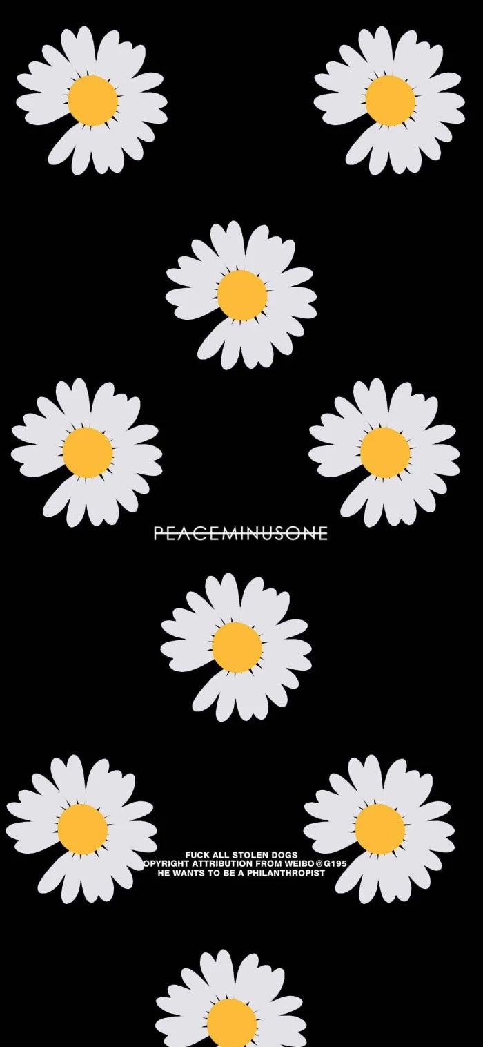 Detail Wallpaper Iphone Bunga Daisy Nomer 5