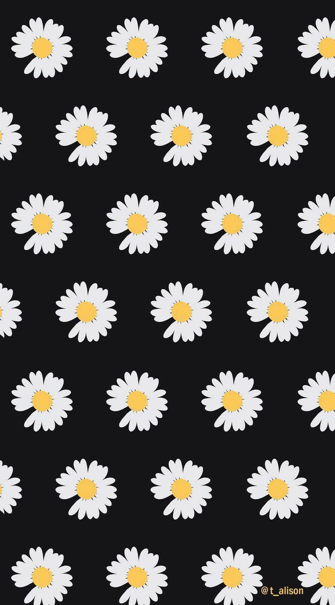 Detail Wallpaper Iphone Bunga Daisy Nomer 6