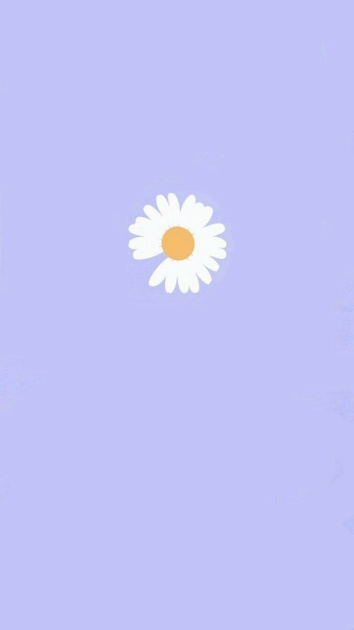 Detail Wallpaper Iphone Bunga Daisy Nomer 7