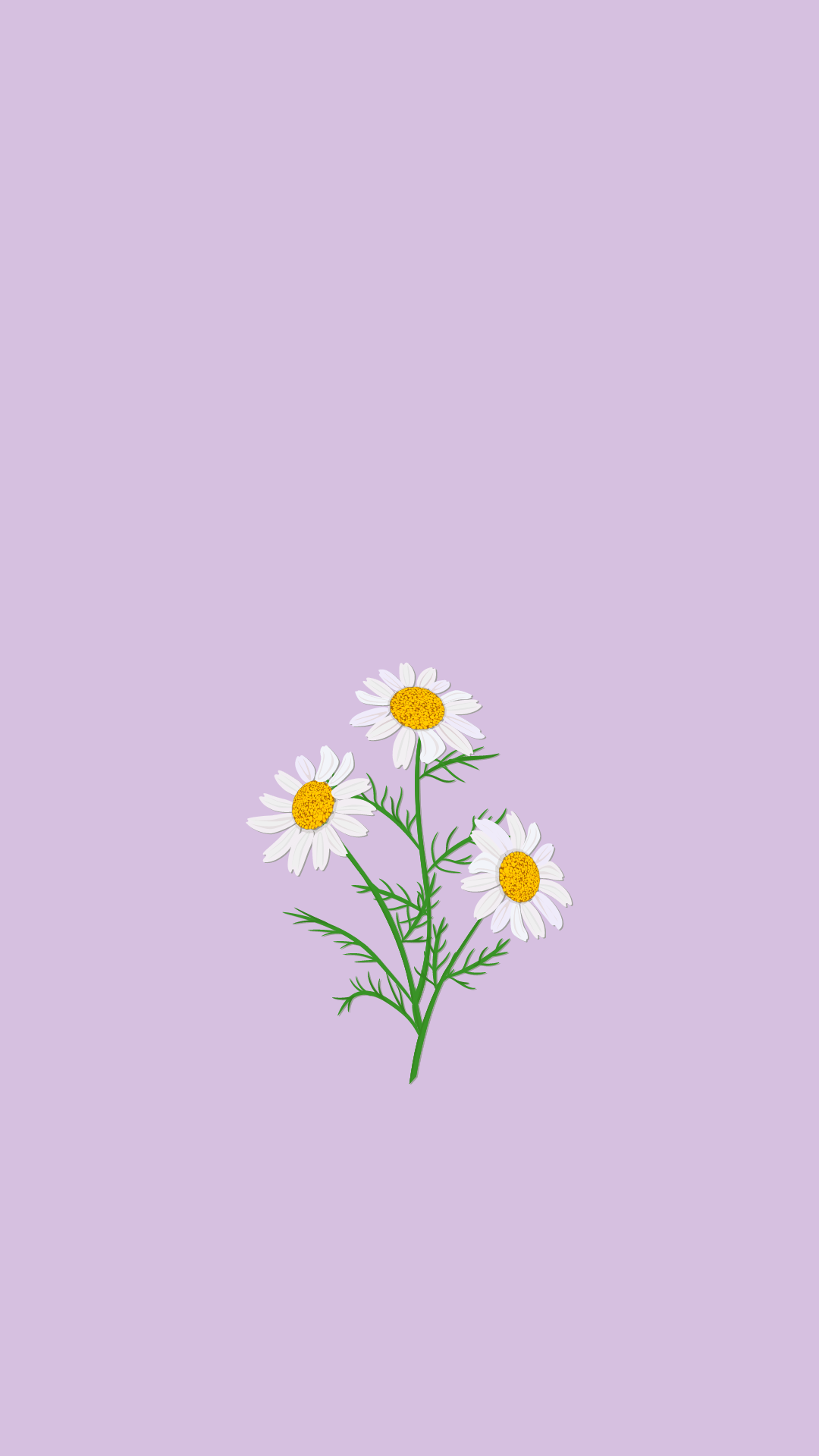 Detail Wallpaper Iphone Bunga Daisy Nomer 10