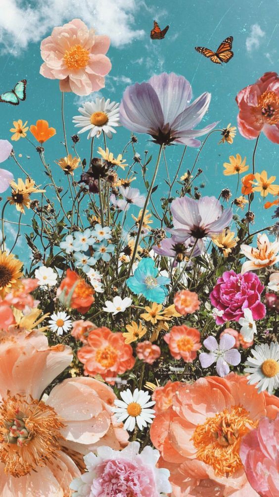 Detail Wallpaper Iphone Flower Nomer 37