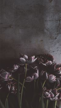 Detail Wallpaper Iphone Flower Nomer 56