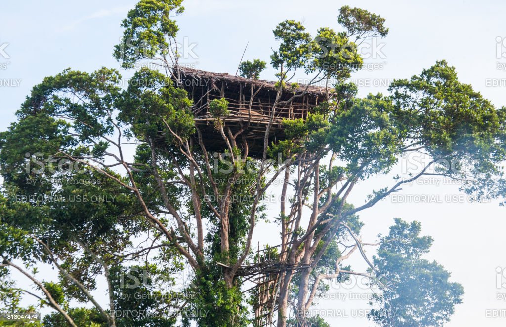 Detail Rumah Suku Korowai Nomer 42