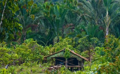 Detail Rumah Suku Mentawai Nomer 14