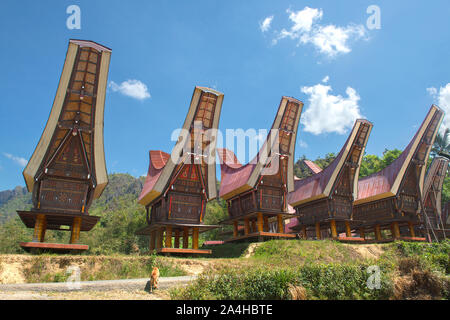 Detail Rumah Suku Toraja Nomer 24