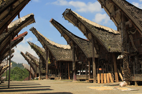 Detail Rumah Suku Toraja Nomer 37