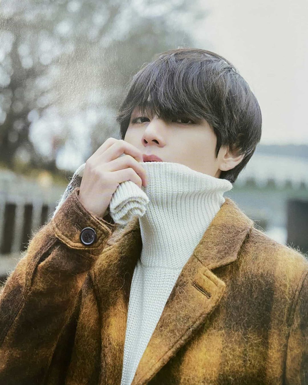 Detail Rumah Taehyung Bts Nomer 17