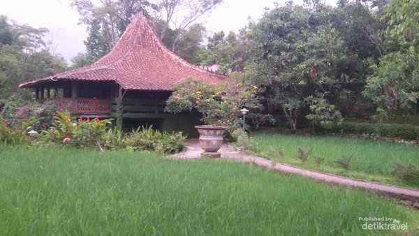 Detail Rumah Tepi Sawah Nomer 53