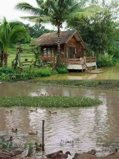 Detail Rumah Tepi Sungai Nomer 17