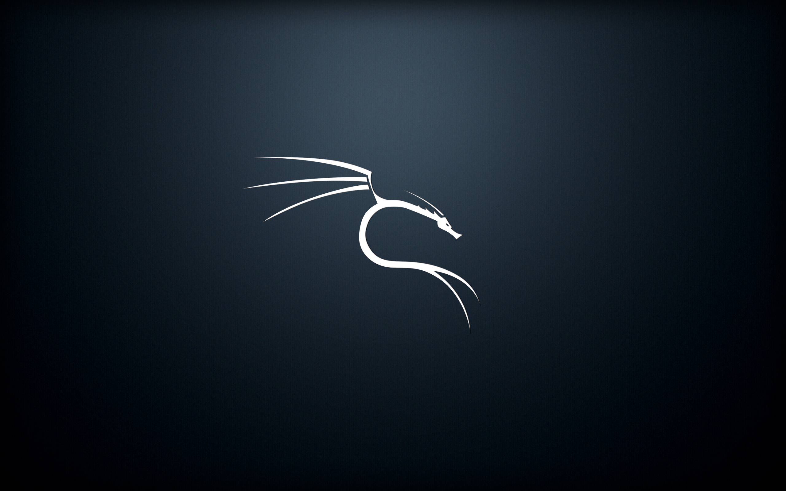 Detail Wallpaper Kali Linux Nomer 2