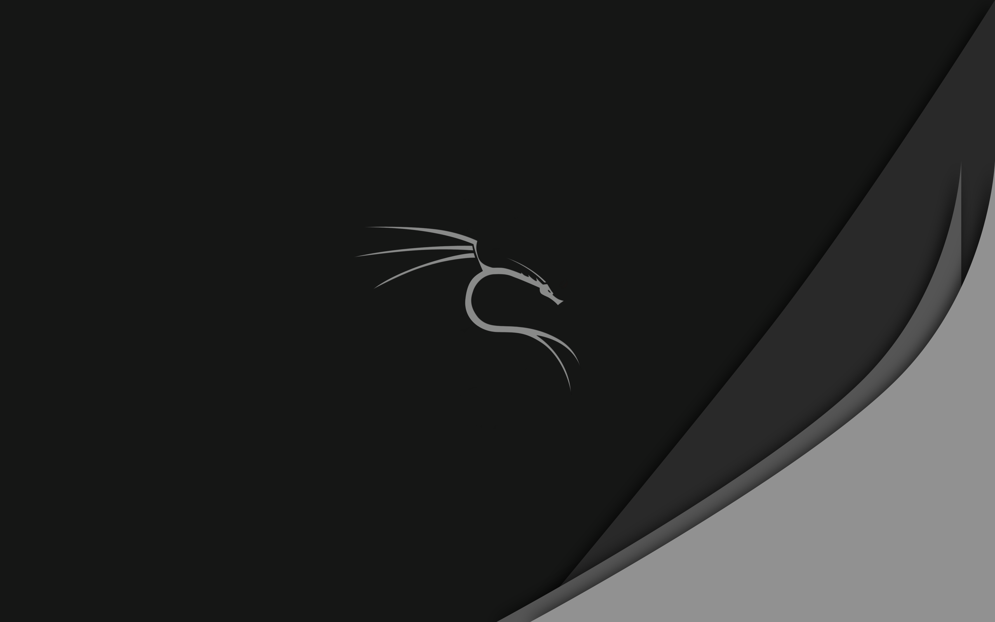Detail Wallpaper Kali Linux Nomer 12