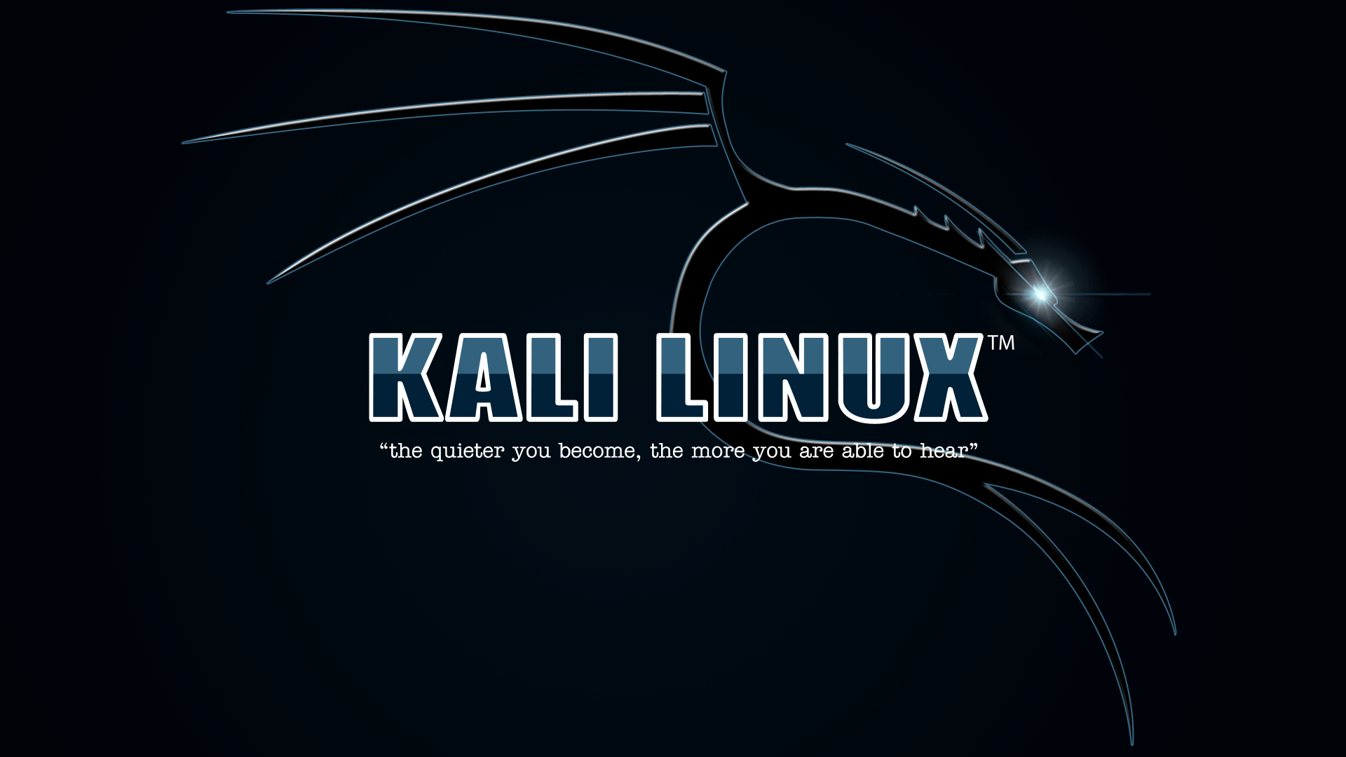 Detail Wallpaper Kali Linux Nomer 3