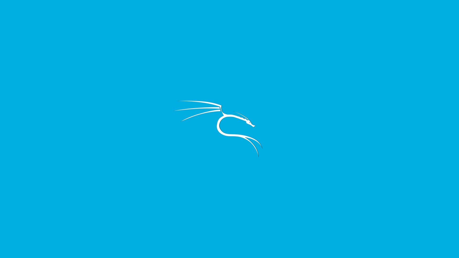 Detail Wallpaper Kali Linux Nomer 22