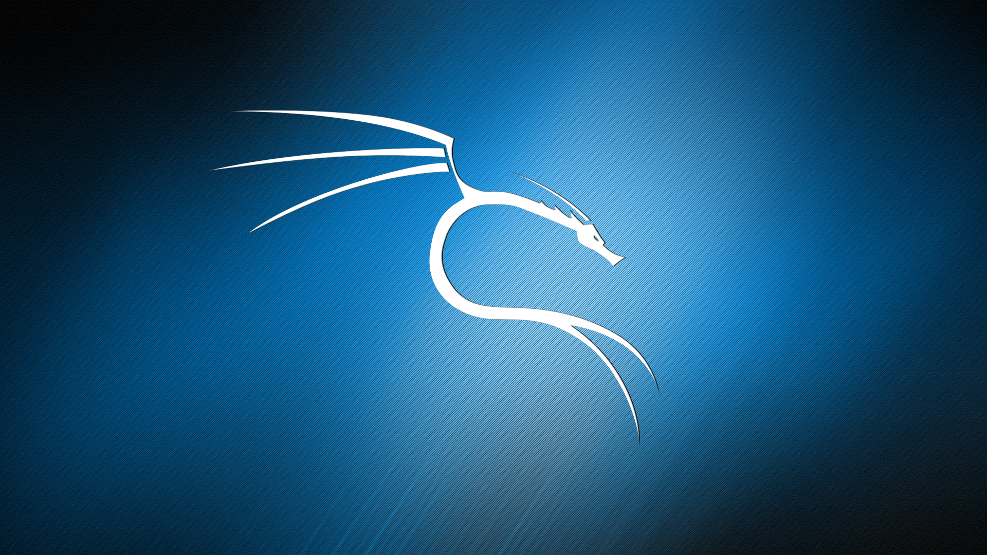 Detail Wallpaper Kali Linux Nomer 10