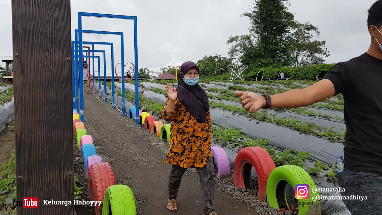 Detail Rumah Terbalik Bengkulu Nomer 13