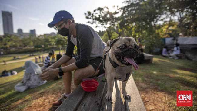 Detail Rumah Terraria One Stop Dogs Entertainment Nomer 45