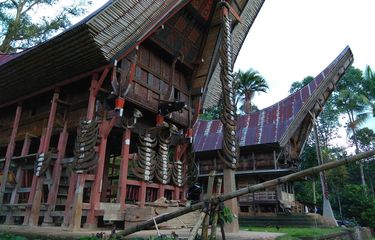 Detail Rumah Tongkonan Dari Daerah Nomer 8