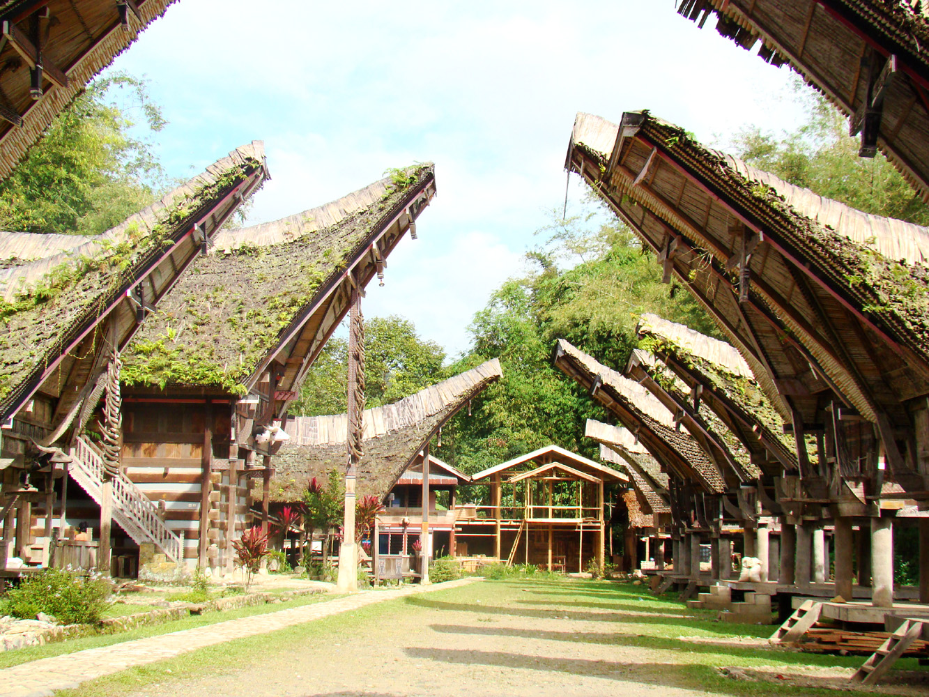 Detail Rumah Tongkonan Merupakan Rumah Adat Suku Nomer 26