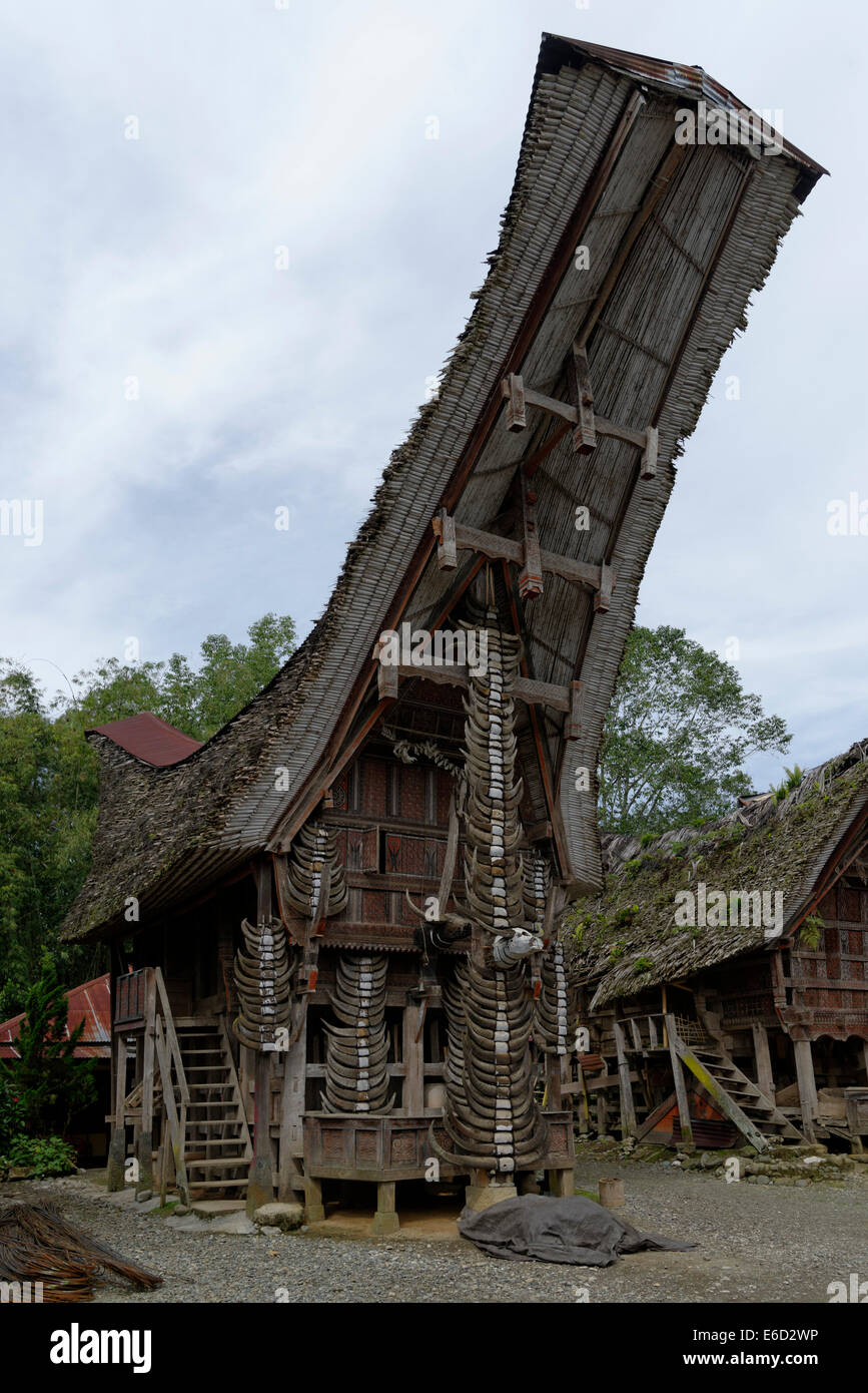 Rumah Tongkonan Sulawesi Selatan 54+ Koleksi Gambar
