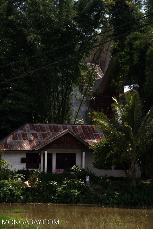 Detail Rumah Toraja Modern Nomer 40